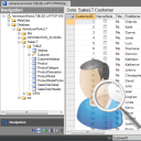 Data Explorer