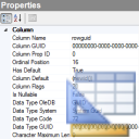 Column Metadata